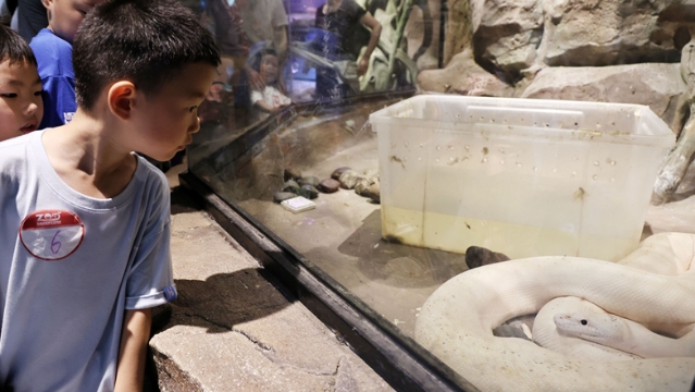 視頻|“世界蛇日”南通森林野生動(dòng)物園舉行蛇類科普活動(dòng)