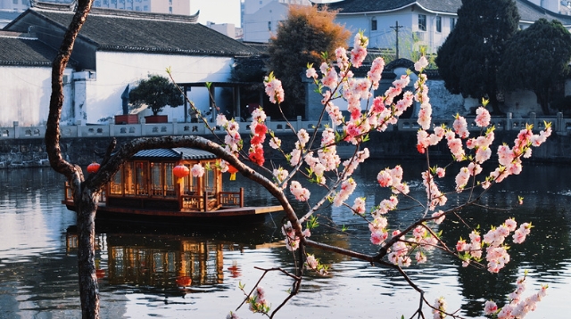 黛瓦鎖春秋，曲廊浮云影 春日水繪園：賞春好去處